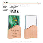 crystal trophy CY497