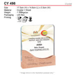 crystal trophy CY498